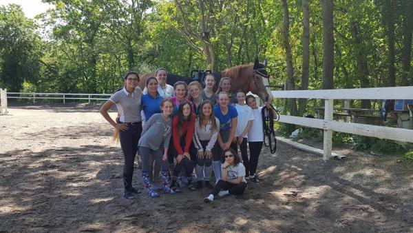 Old Town Equestrian Center