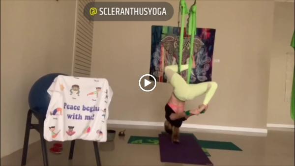 Scleranthus Aerial Yoga