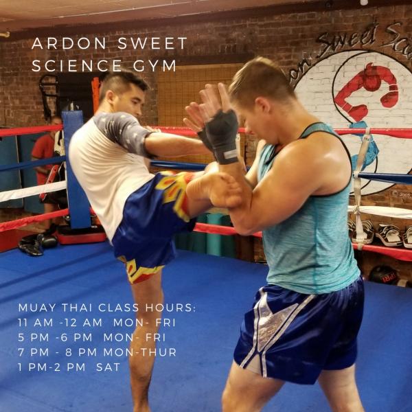 Ardon Sweet Science Gym