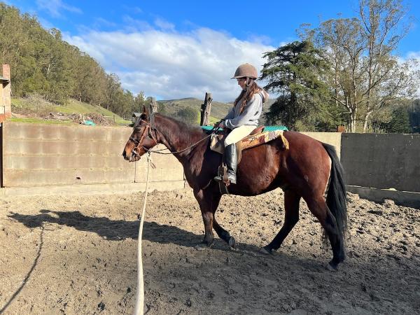 Lessonswithdenise.com