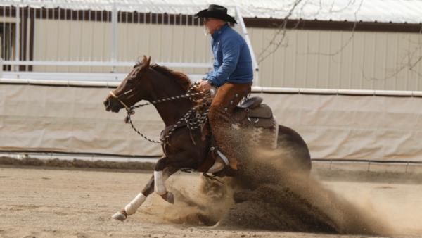Snafflebit Quarter Horses