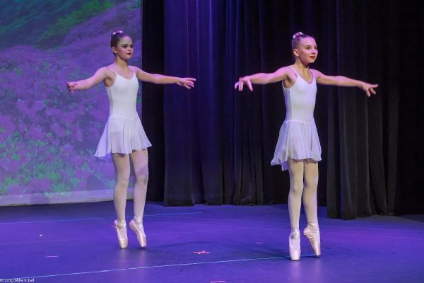 Childrens Musical Theatre Workshop Inc.