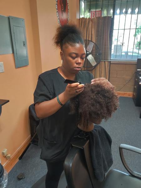 Chicago Natural Hair Care and Braider's Assoc. Academy