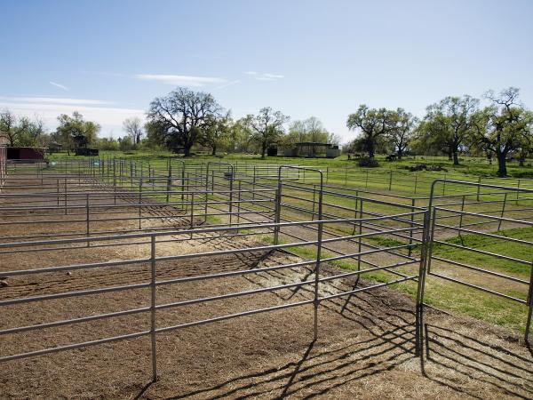Sheltering Oak Farms