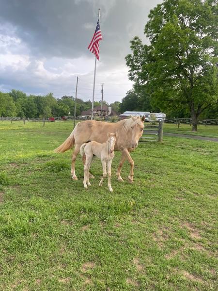 Short Creek Farm