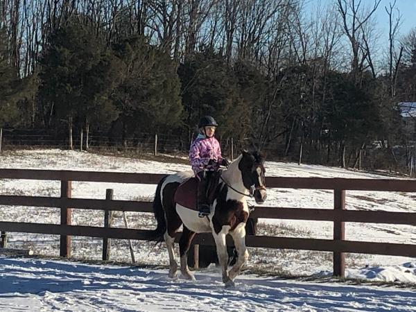 Springhouse Farm