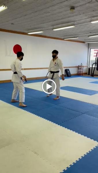 Hu Shin Kai Karate