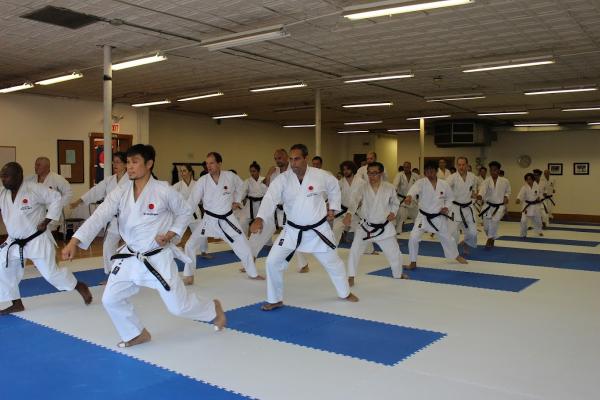 Hu Shin Kai Karate