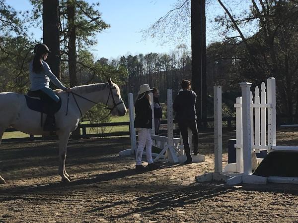 Phoebe Lawson Stables