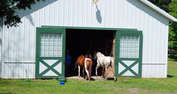 SS Equestrian Services