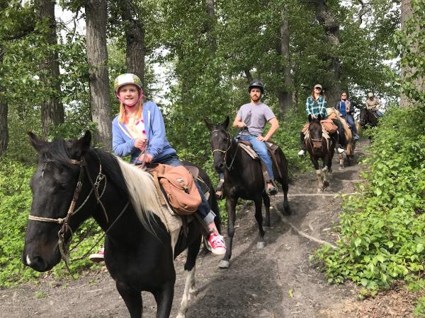 Alaska Horse Adventures