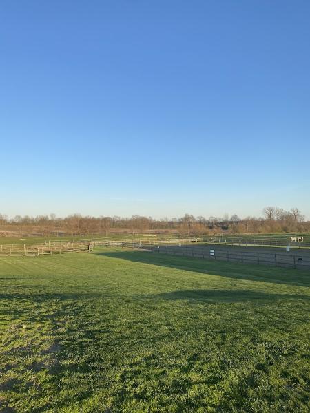 Honeycreek Stables LLC
