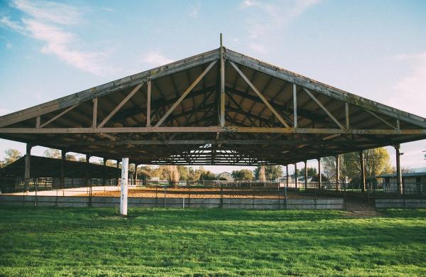 Blue Banner Stables