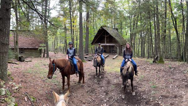 Appalachian Horse Adventures