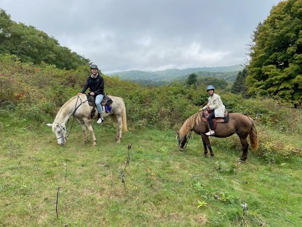 Appalachian Horse Adventures
