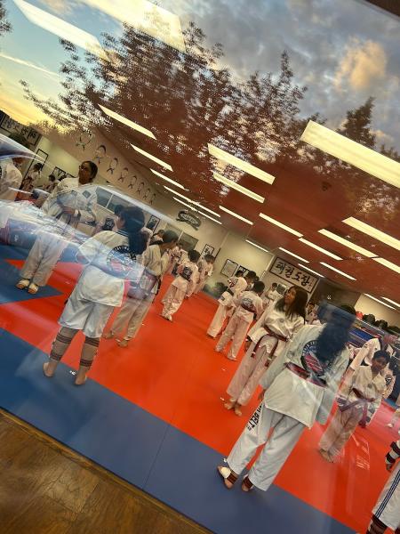 World Tae Kwon Do Center Master Park's : Sammamish Martial Arts