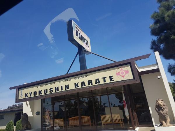 Kyokushin Karate