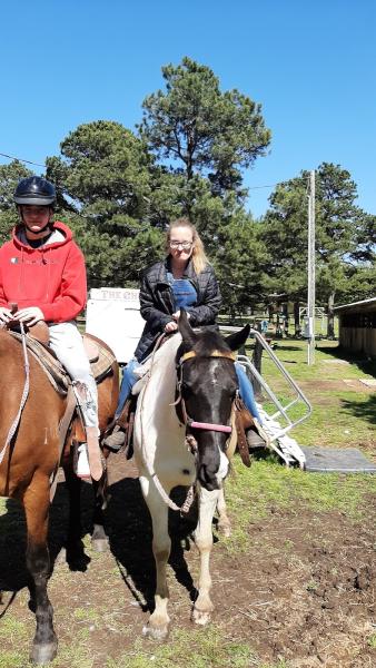 Barnyard Friends & Stables