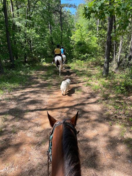 Barnyard Friends & Stables