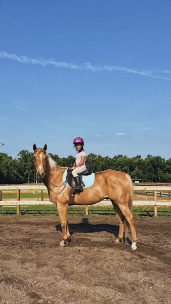 LJC Equestrian Services