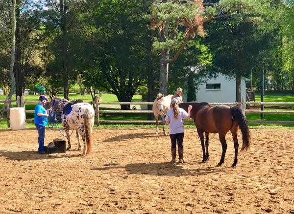 Bushel Barns Boarding & Horsemanship