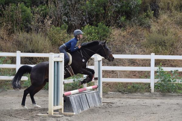 Brandi's Equestrian Riding Academy