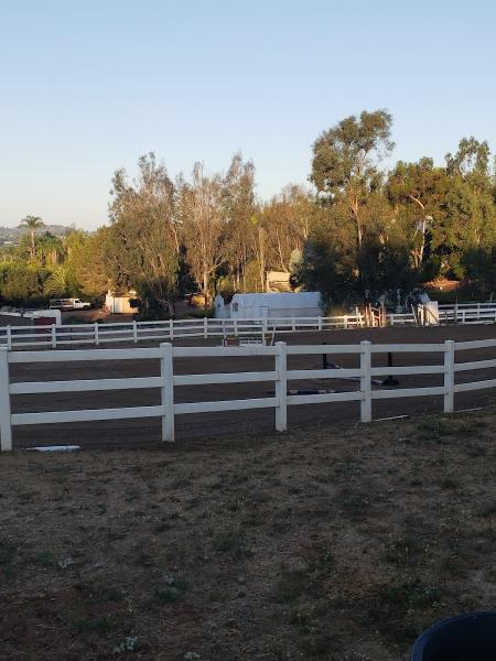 Brandi's Equestrian Riding Academy