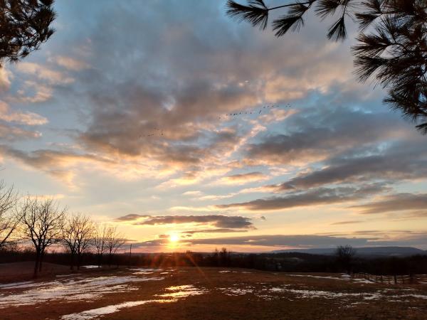 Stoney Ridge Horse Farm