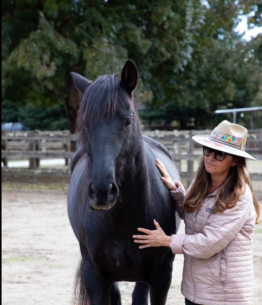 Magical Horsemanship
