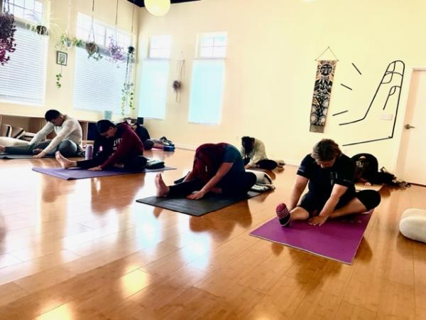 Vida Yoga