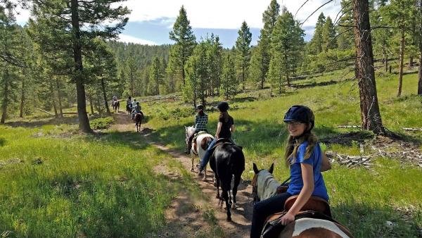 Bear Mountain Stables