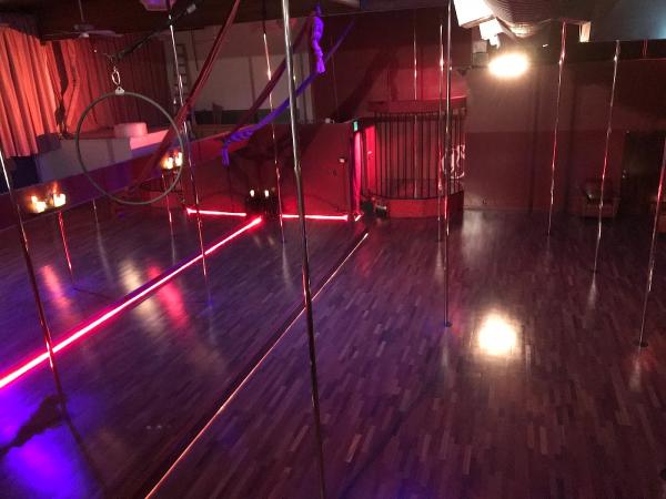 Sedusa Pole Dance Studio San Jose