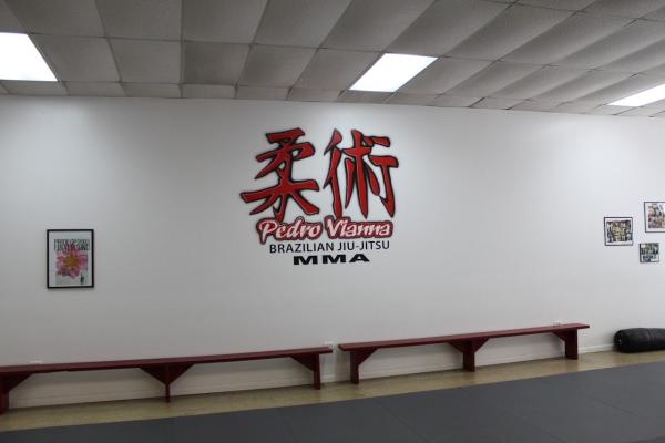 Vianna Brothers Brazilian Jiu-Jitsu Academy