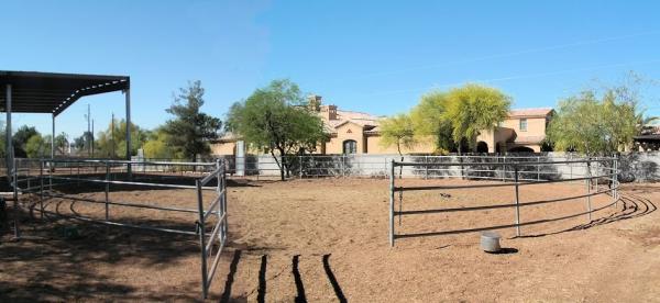 Flying Fox Farm