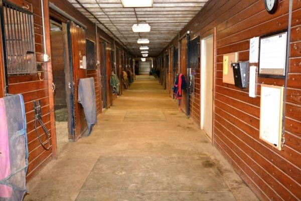 Diamond Legacy Equestrian Center