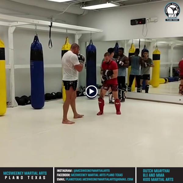 McSweeney Martial Arts and Performance Center