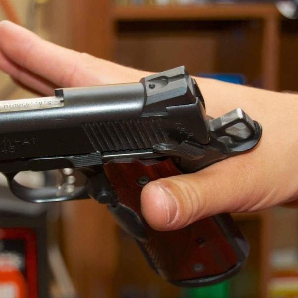 Firearm Mentor