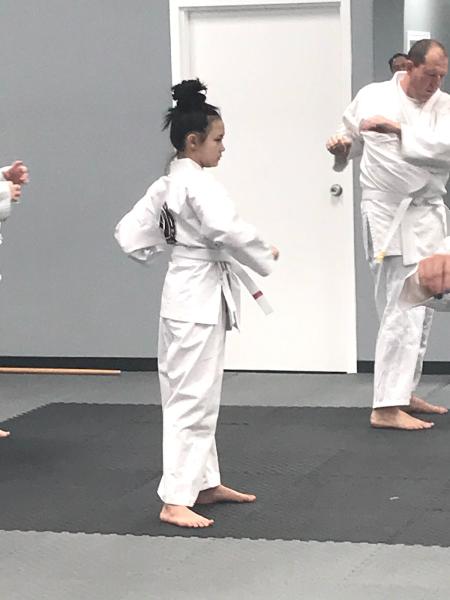 Blazier Martial Arts
