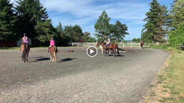 Avalon Management Horse Riding School and Boarding