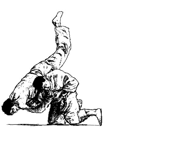 Kuroinukan/Duluth Judo Club