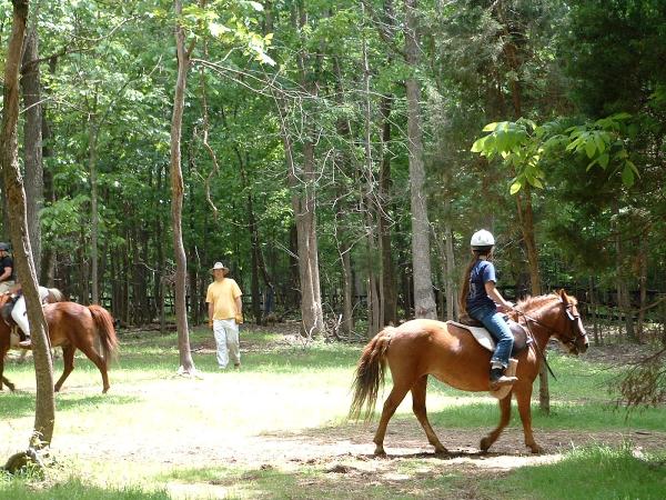 Mulford Riding School