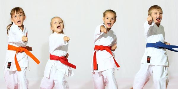 Chesapeake Martial Arts/Cma Kids Care
