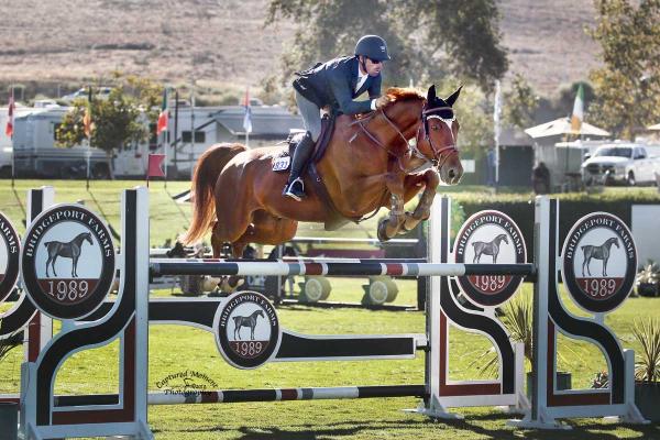 Gregoire Solente Stables