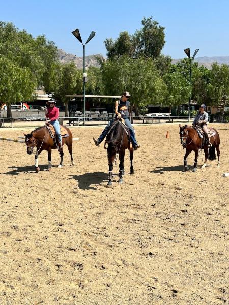 SS Performance Horses