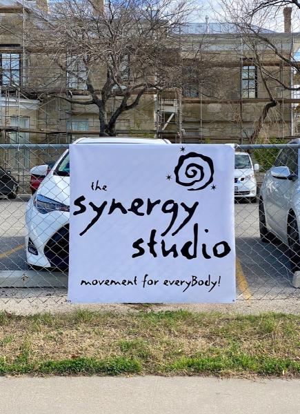 The Synergy Studio