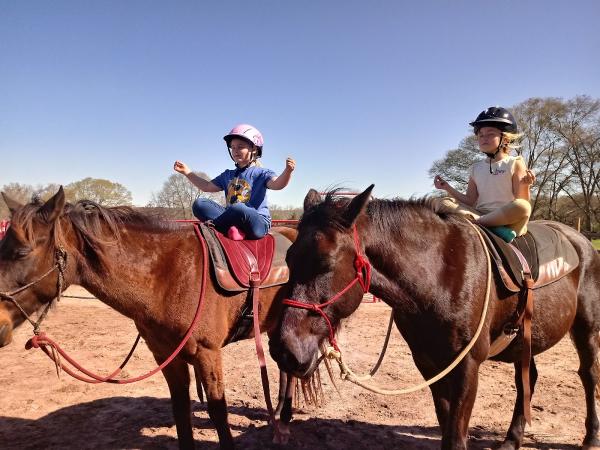 Dark Horse Horsemanship & Hearts in Harmony