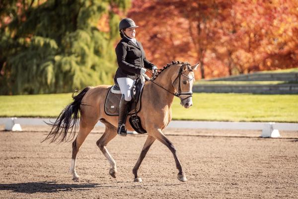 Alexandra Brooks Dressage