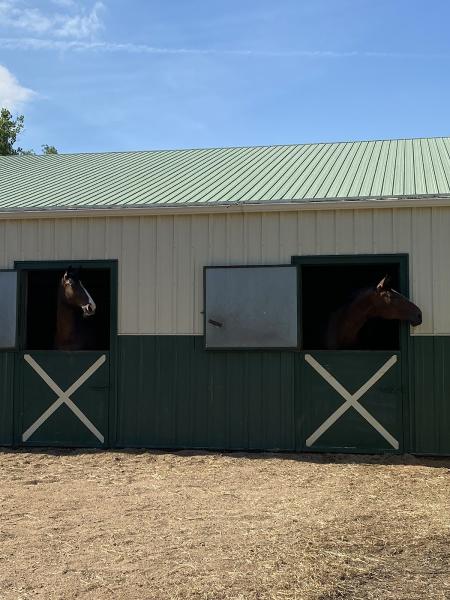 Lake View Equestrian Center