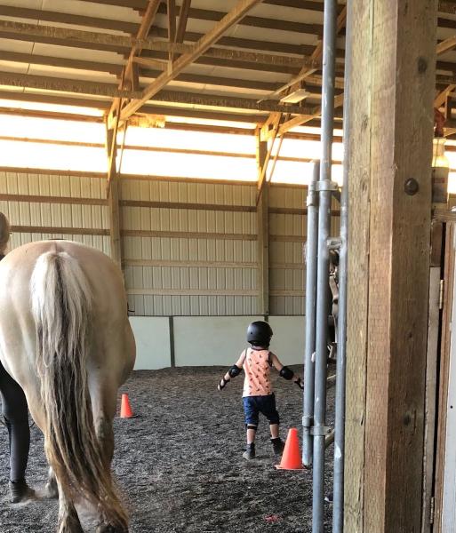Mini Acres Trot-About Riding School