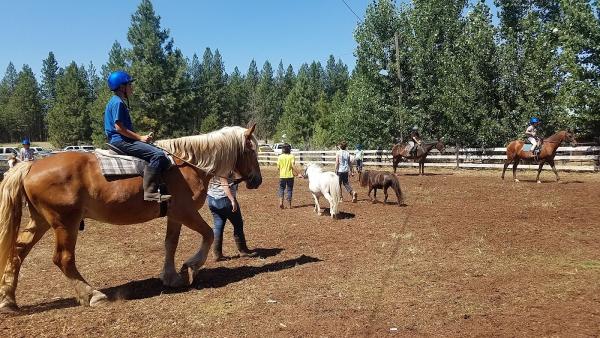 Mini Acres Trot-About Riding School